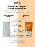 CocoBoost+ Electrolytes & Immunity – Tropical Punch
