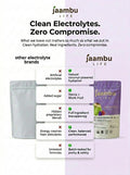 CocoBoost+ Electrolytes & Endurance – Mixed Berries